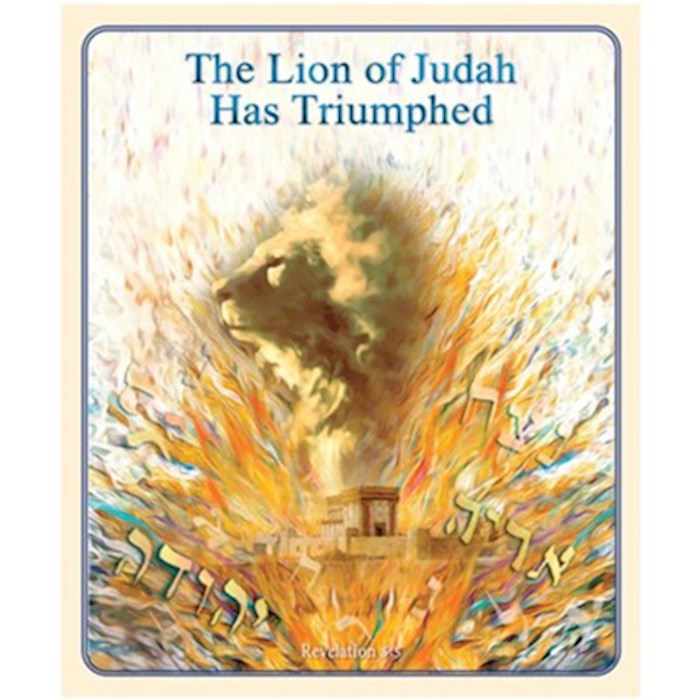 BLANKET - LION OF JUDAH HAS TRIUMPHED